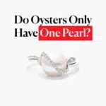 Do Oysters Only Have One Pearl?