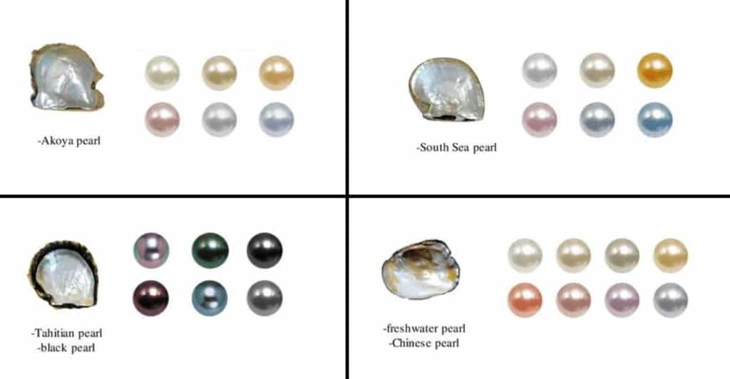 A four-panel chart illustrating the different types of cultured pearls—Akoya, South Sea, Tahitian, and Freshwater—each shown with its mollusk shell and a palette of its common, natural colors.
