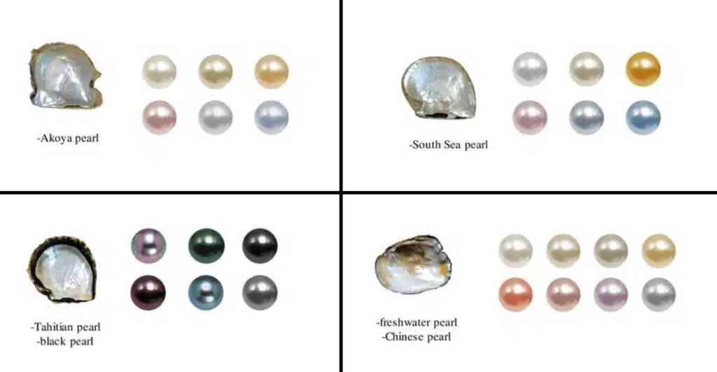 A four-panel chart illustrating the different types of cultured pearls—Akoya, South Sea, Tahitian, and Freshwater—each shown with its mollusk shell and a palette of its common, natural colors.
