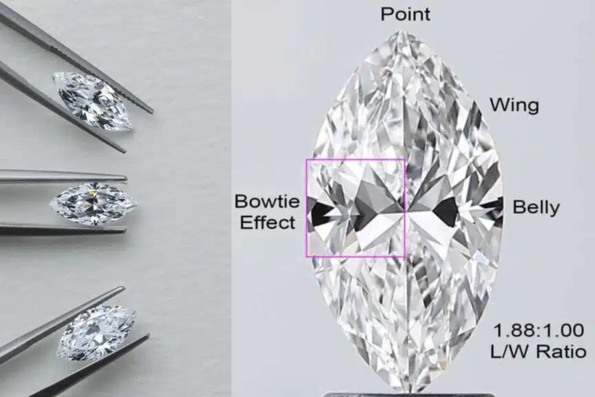 How to check a marquise diamond for the 'bow-tie effect' and poor light performance by examining the belly and length-to-width ratio (L/W Ratio).
