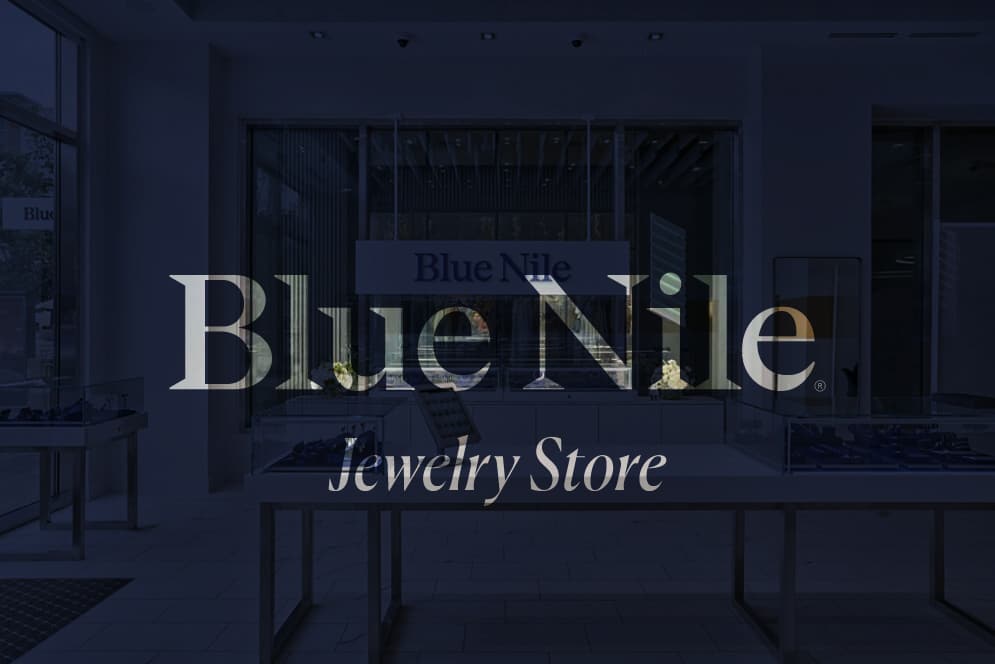 blue nile jewelry store cover image with blue nile logo and jewelry store written under it.