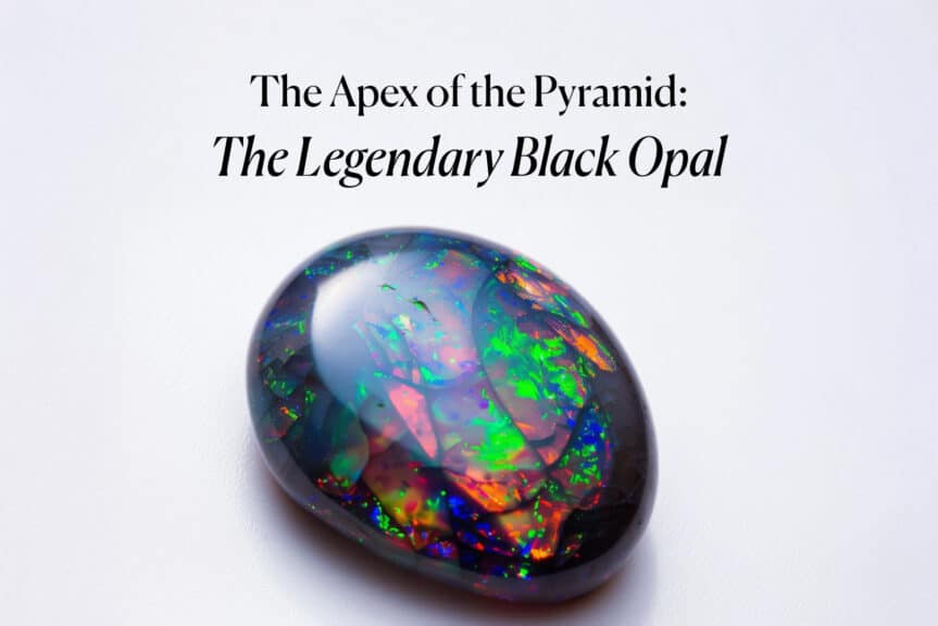 An extremely high-quality, polished black opal gemstone showing vivid, explosive flashes of red, blue, and green color against a dark black body tone. The image is titled 'The Apex of the Pyramid: The Legendary Black Opal'.
