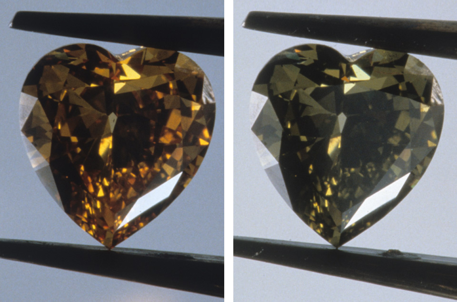 A 3.93 carat heart-shaped chameleon diamond, shown in two states: on the left, its brownish-yellow color when heated, and on the right, its greenish color when cool, demonstrating thermochromism.
