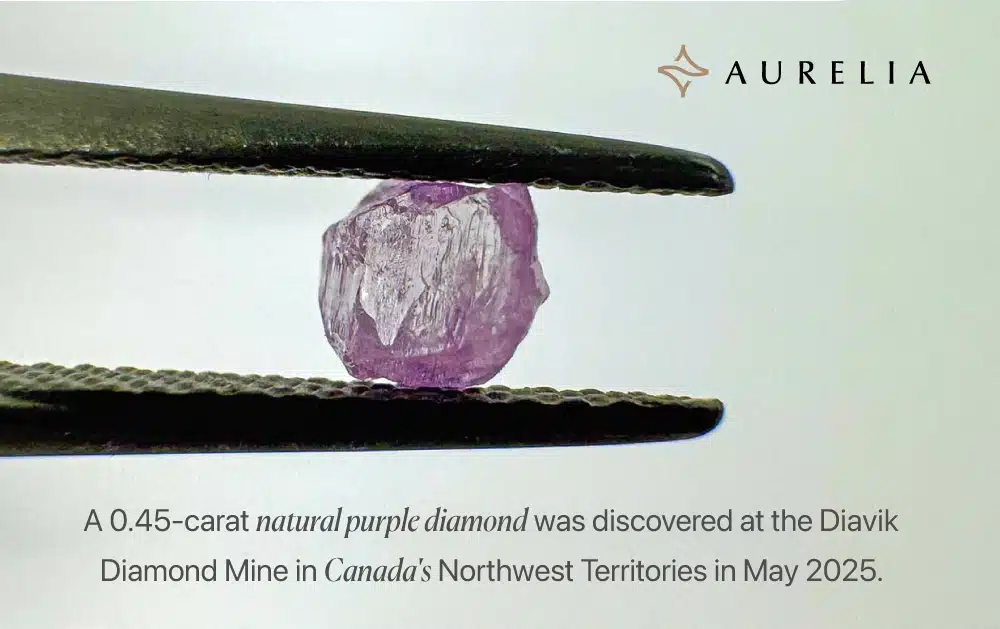 Close-up of a 0.45-carat raw natural purple diamond held in tweezers, discovered at the Diavik Diamond Mine in the Northwest Territories of Canada in 2025.