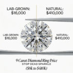 High-end infographic comparing a $16,000 lab-grown 9-carat diamond to a $410,000 natural 9-carat diamond, held by jeweler tweezers.